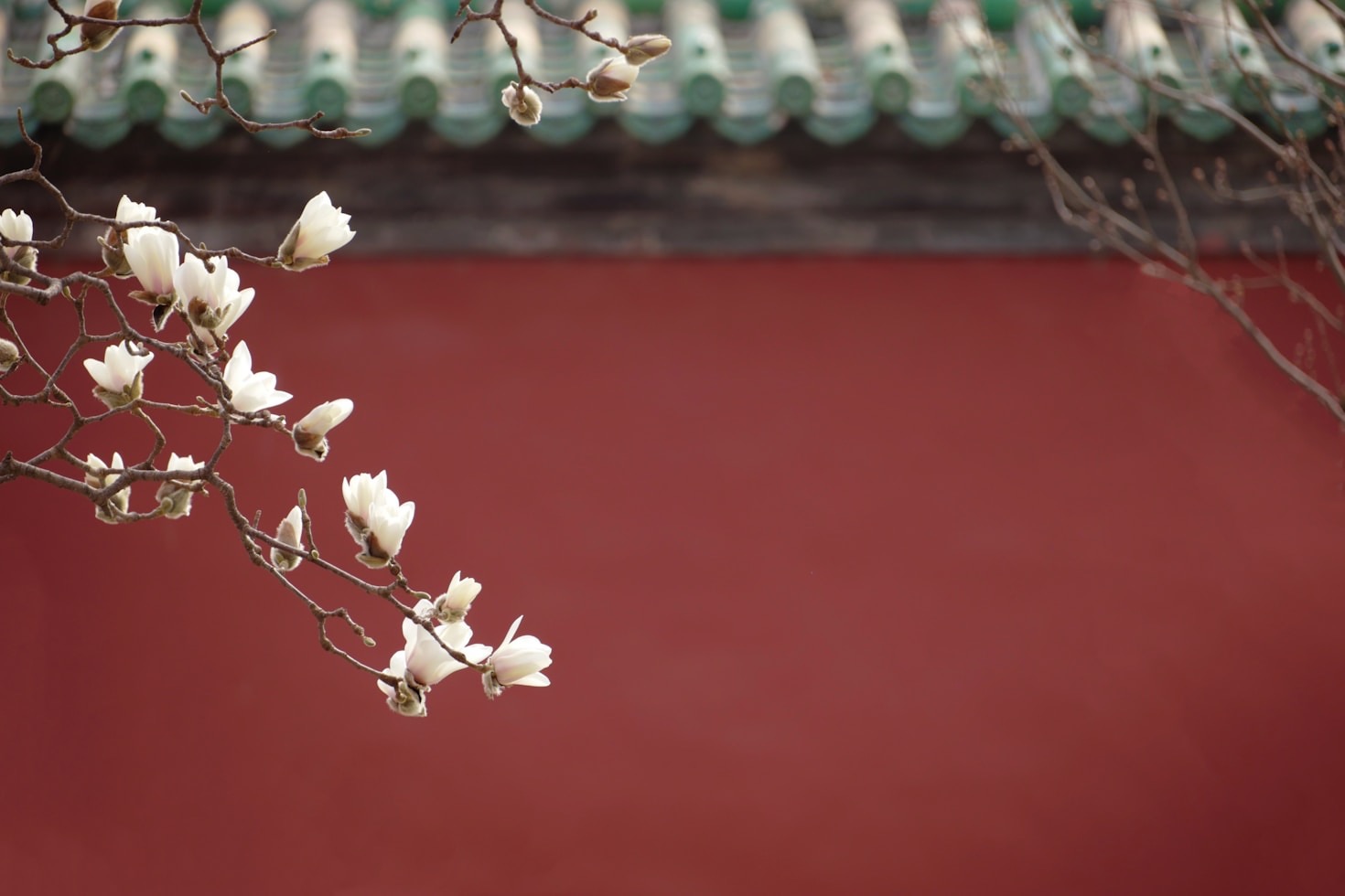 A Journey Through China’s Local Traditions